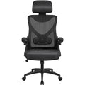 Kancelářská židle s vysokým opěradlem a síťovinou, s vyklápěcími područkami, ergonomická stolní židle